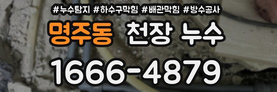 명주동 천장 누수