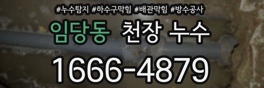 임당동 천장 누수
