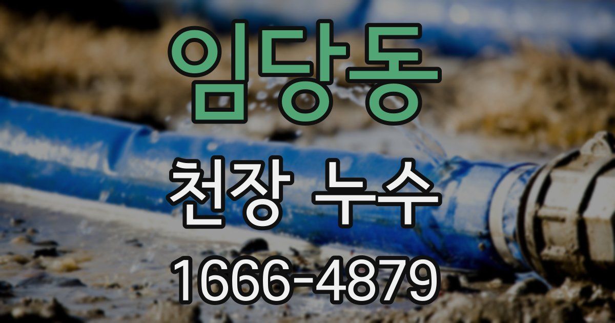 임당동 천장 누수