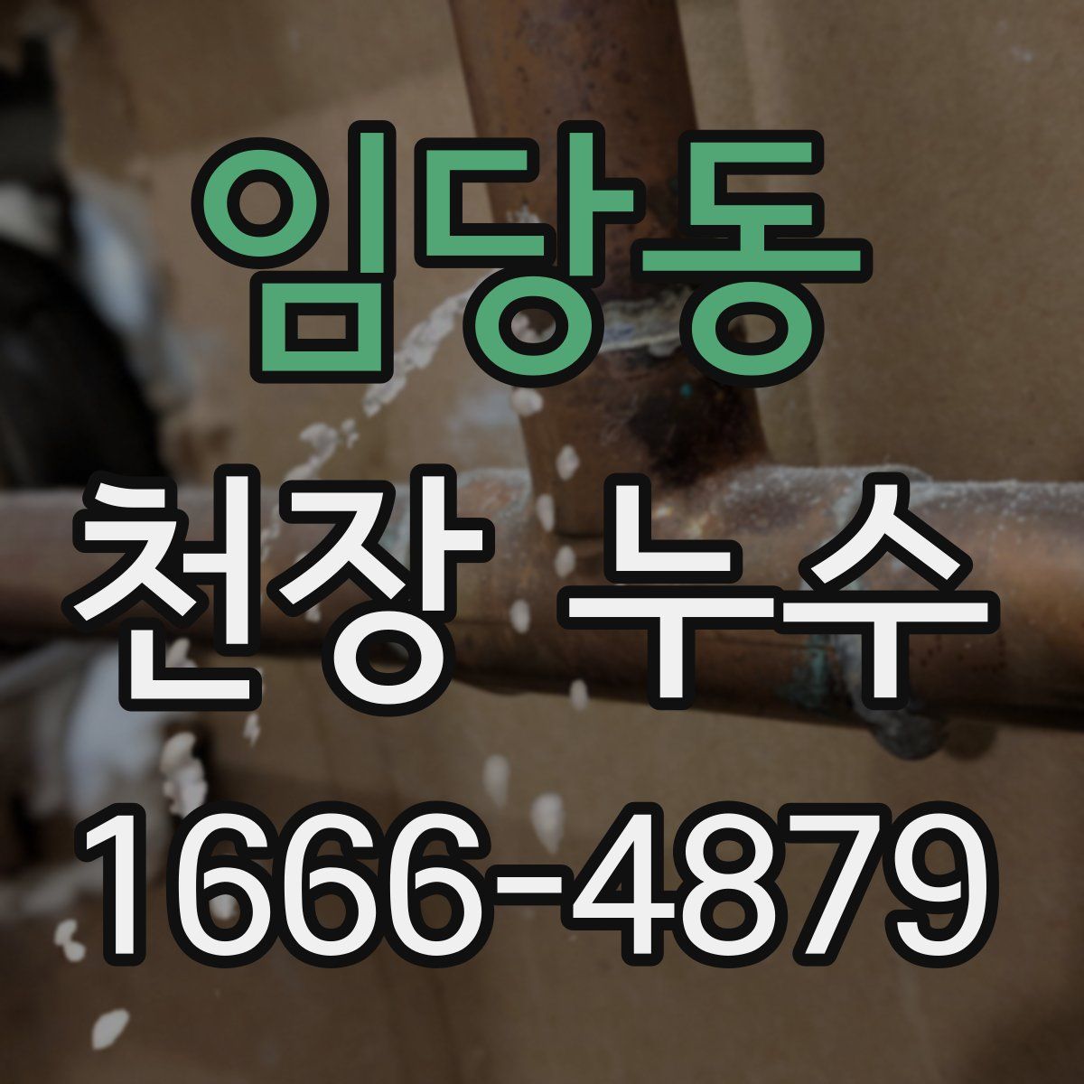 임당동 천장 누수