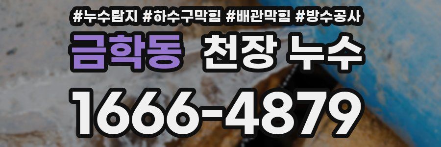 금학동 천장 누수