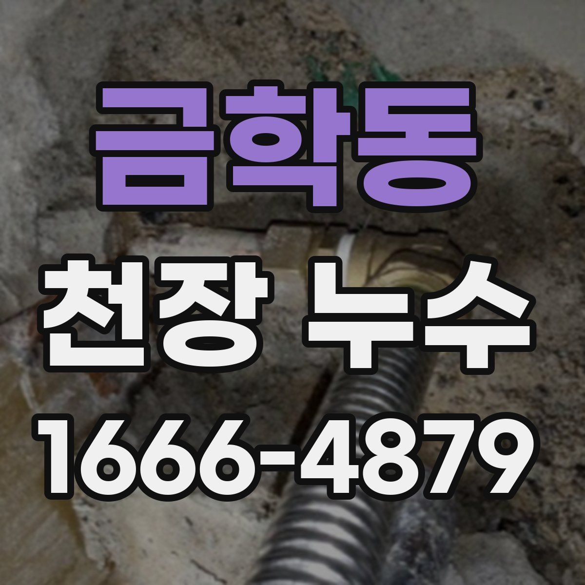 금학동 천장 누수