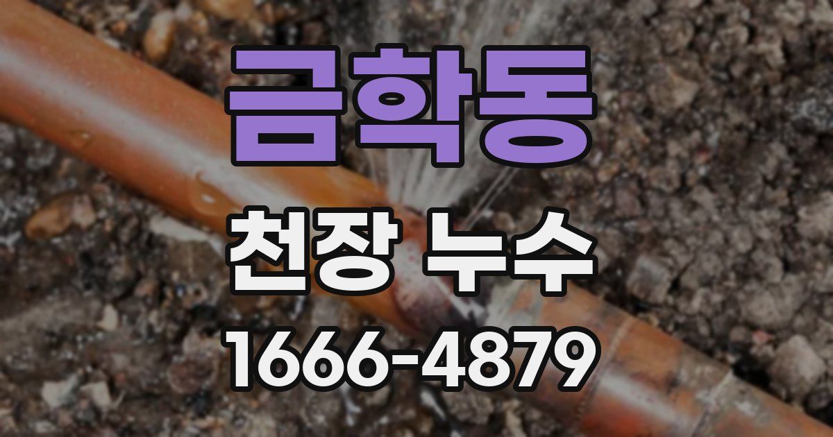 금학동 천장 누수