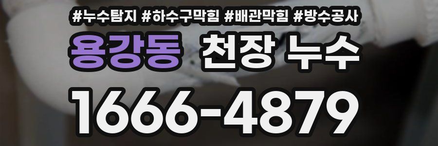 용강동 천장 누수