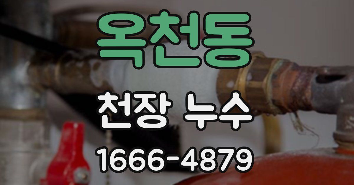 옥천동 천장 누수