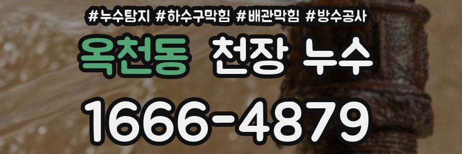 옥천동 천장 누수