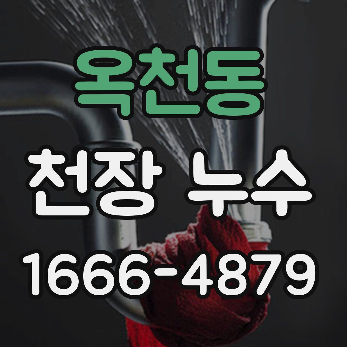 옥천동 천장 누수