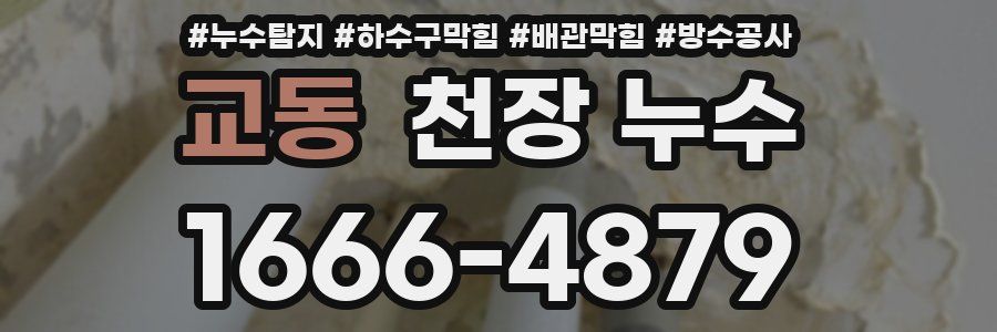 교동 천장 누수
