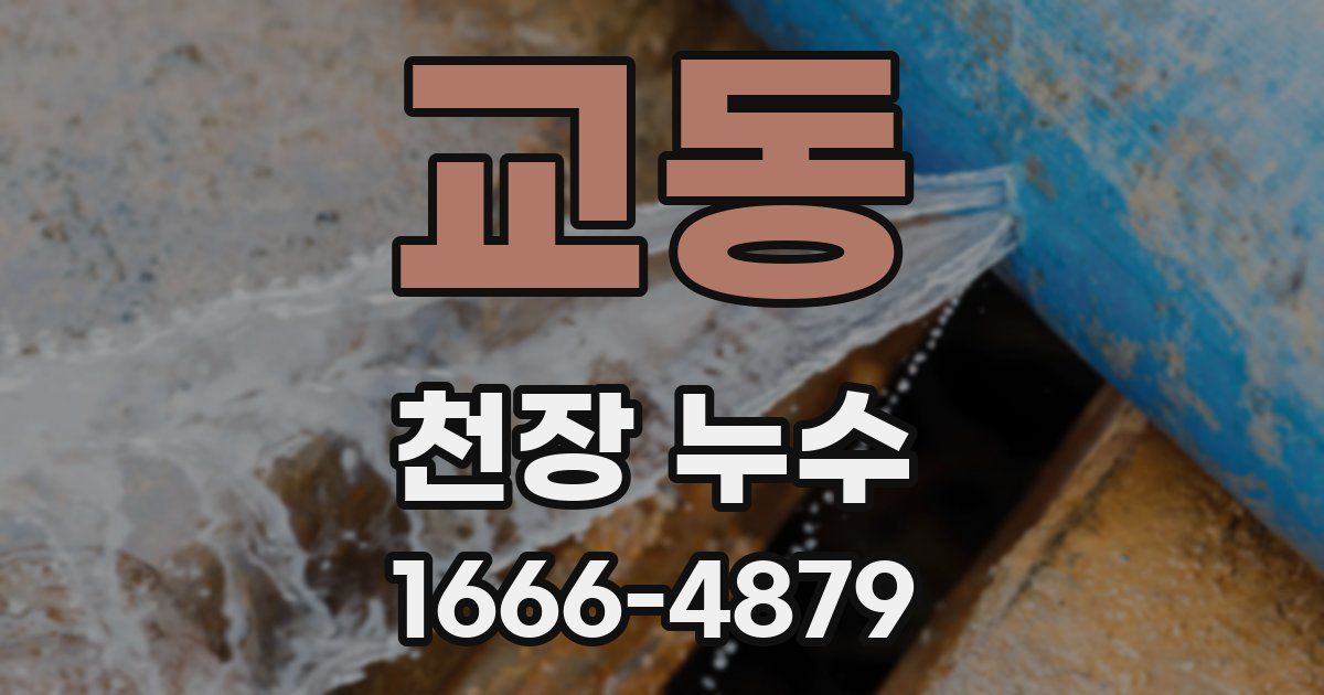 교동 천장 누수