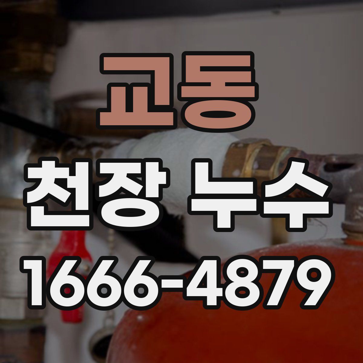 교동 천장 누수
