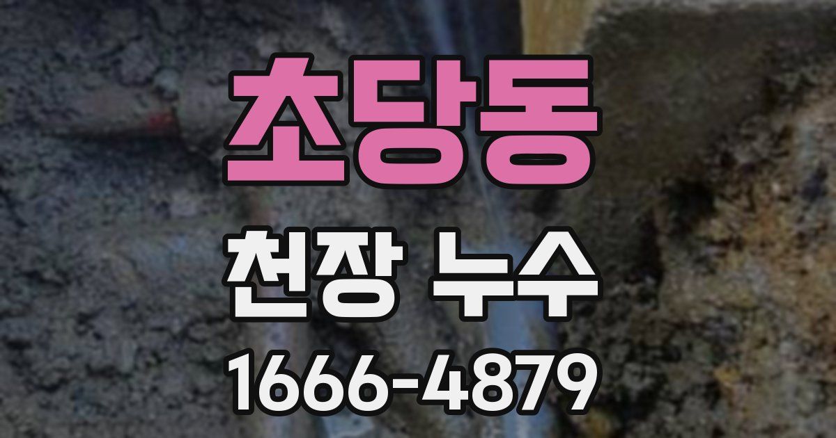 초당동 천장 누수