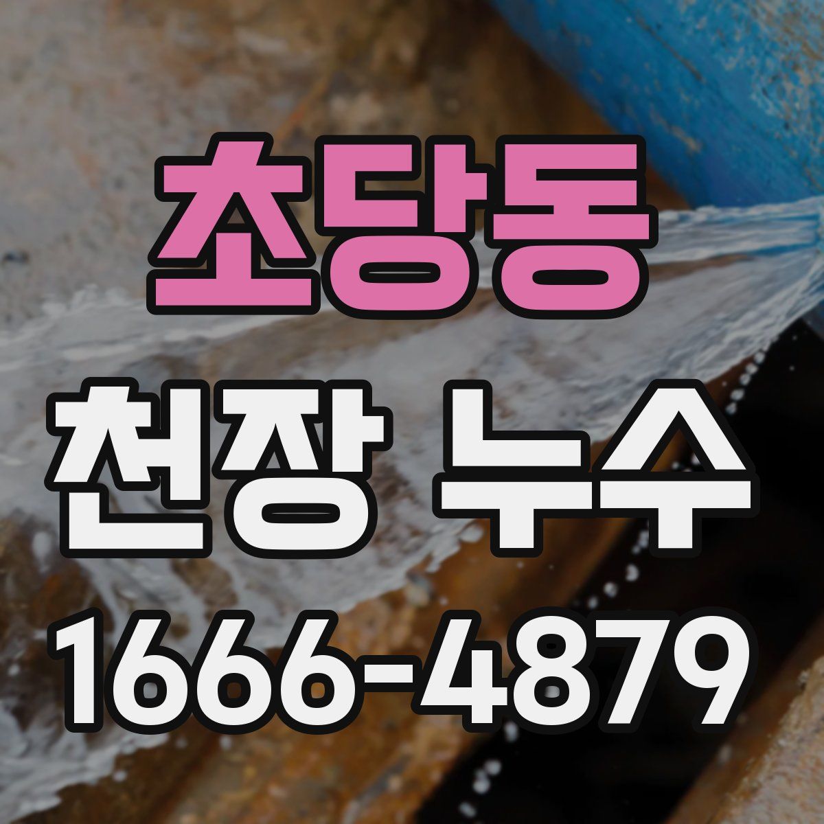 초당동 천장 누수