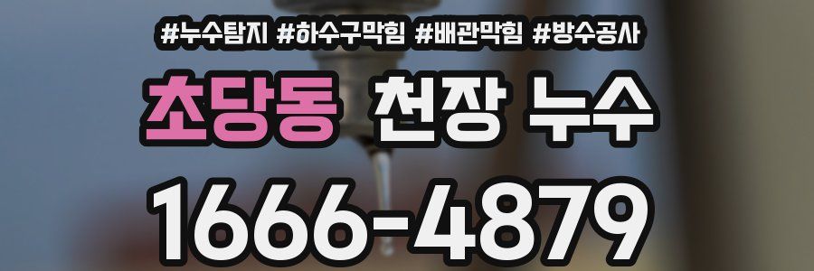 초당동 천장 누수