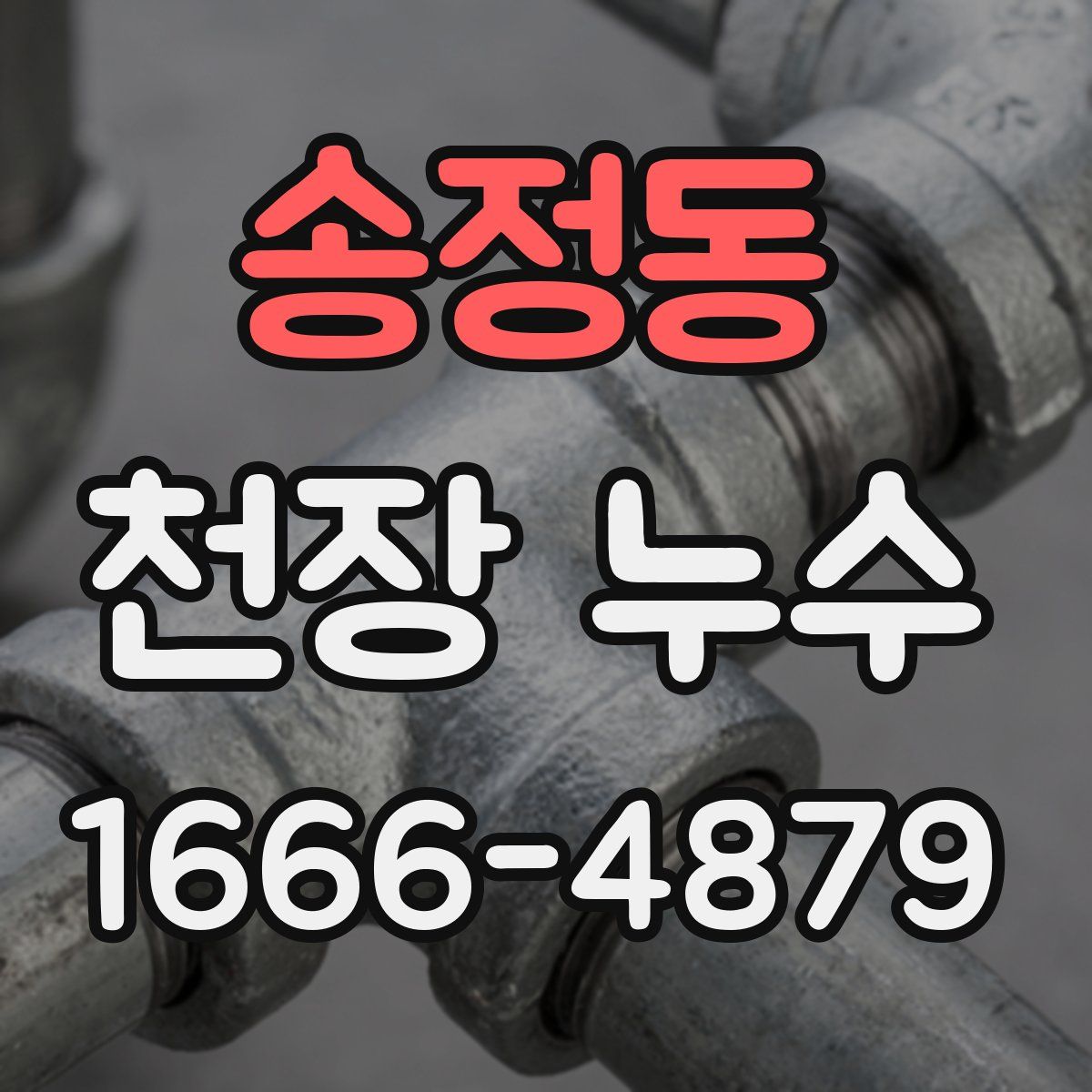 송정동 천장 누수