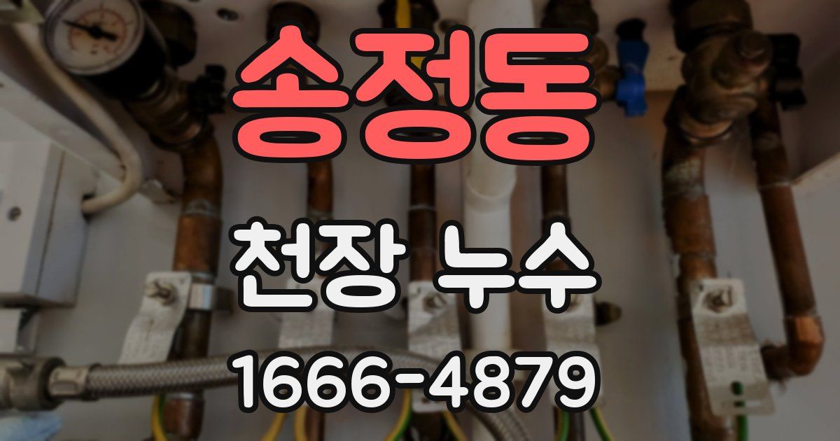 송정동 천장 누수
