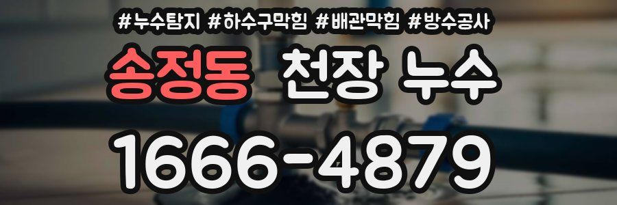 송정동 천장 누수
