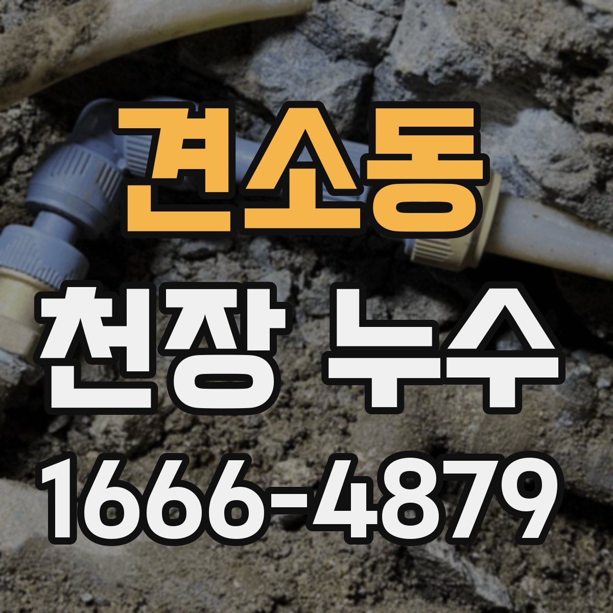 견소동 천장 누수