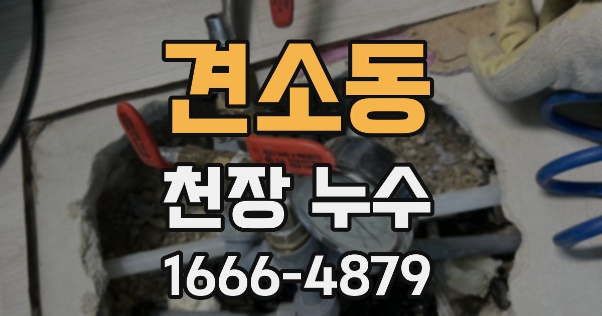견소동 천장 누수
