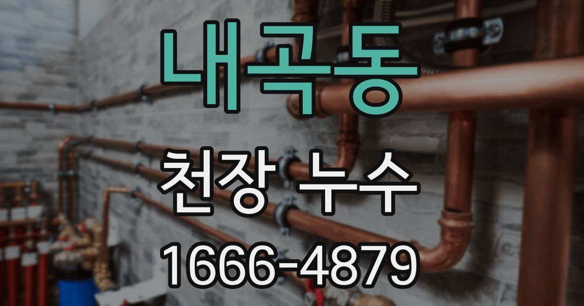 내곡동 천장 누수