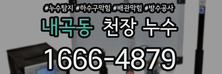 내곡동 천장 누수