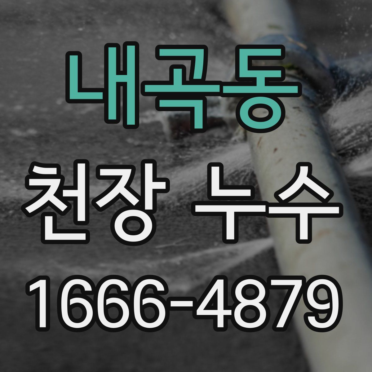 내곡동 천장 누수