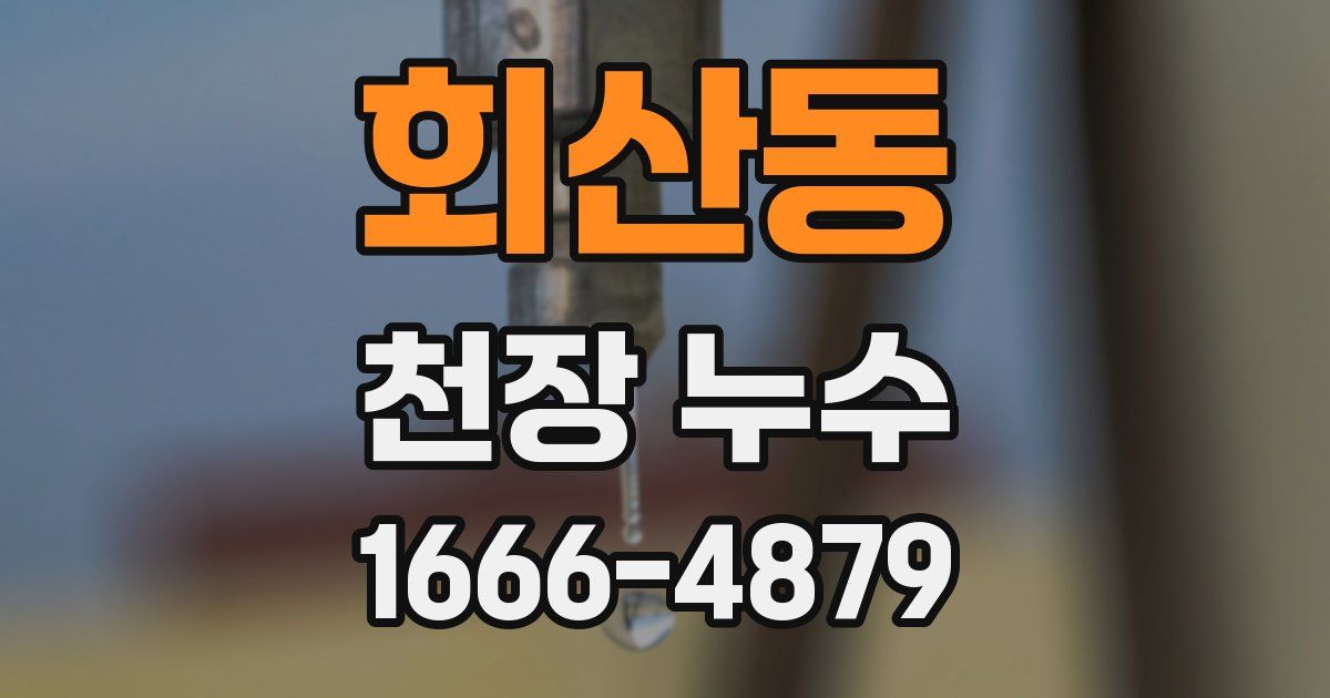 회산동 천장 누수