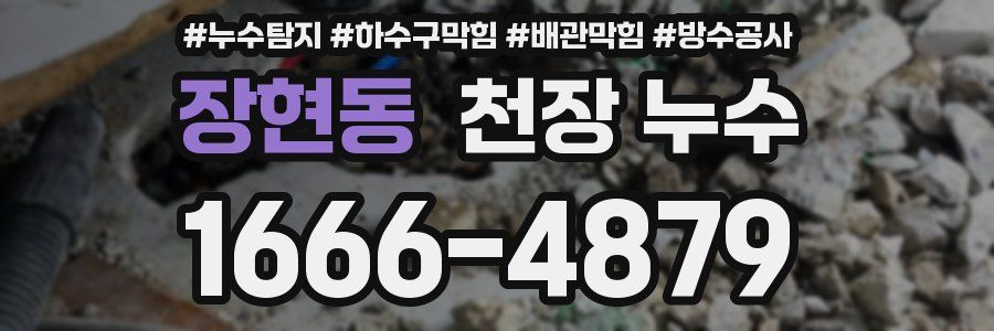 장현동 천장 누수