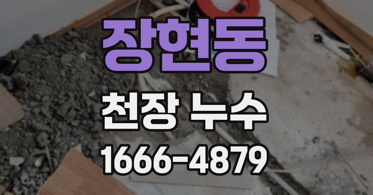 장현동 천장 누수