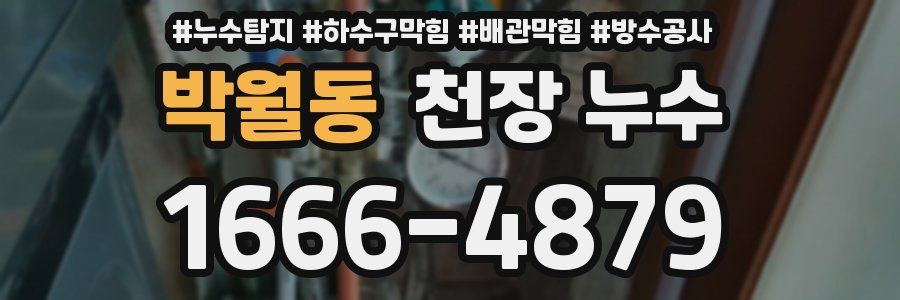 박월동 천장 누수