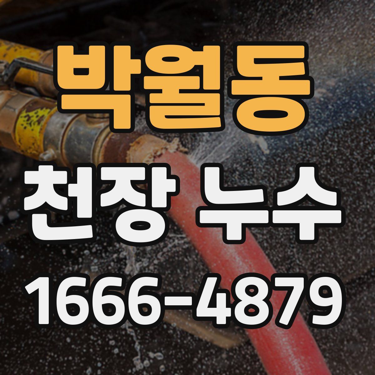 박월동 천장 누수