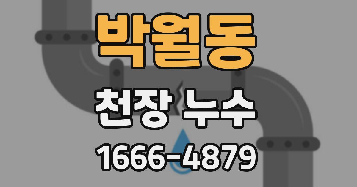 박월동 천장 누수