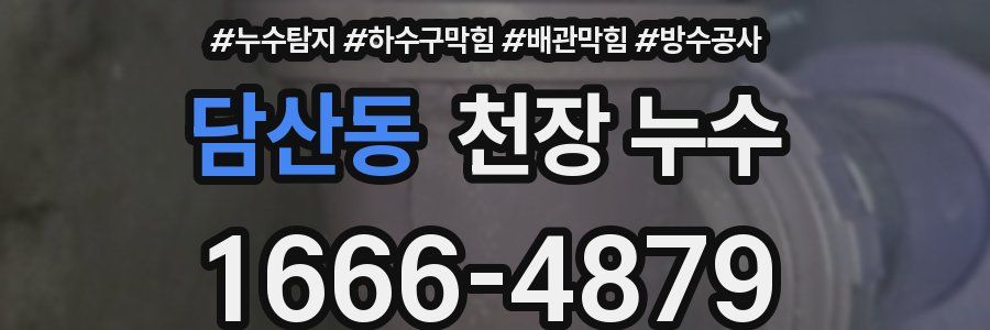 담산동 천장 누수