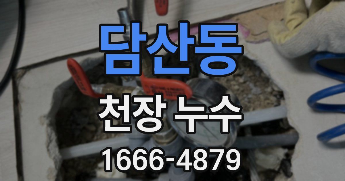 담산동 천장 누수