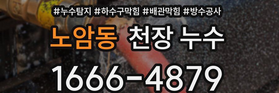 노암동 천장 누수
