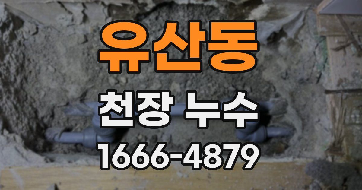 유산동 천장 누수