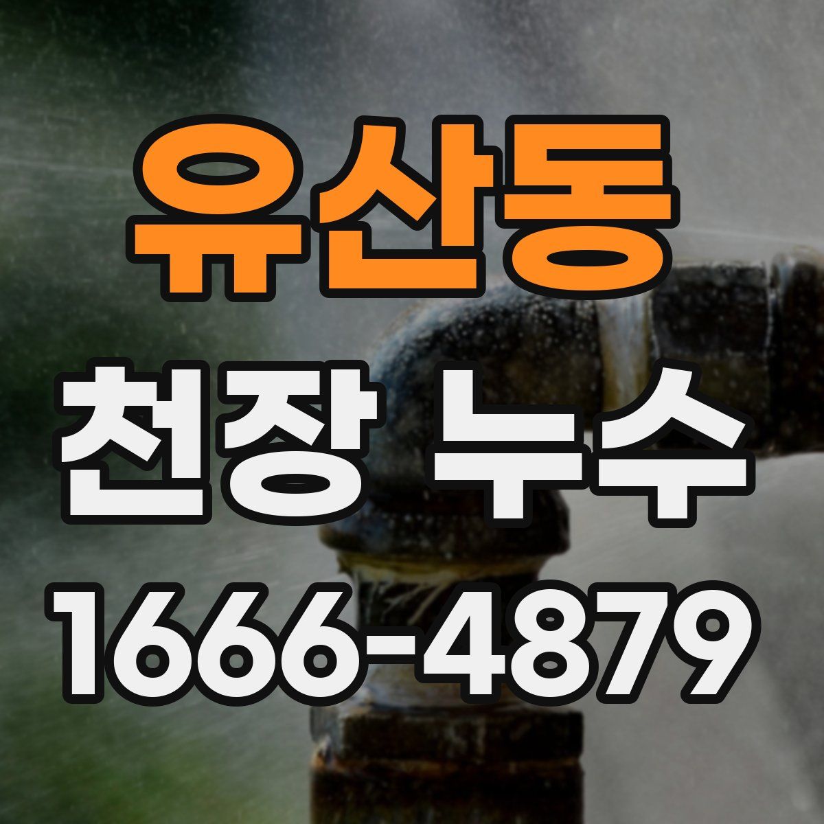 유산동 천장 누수