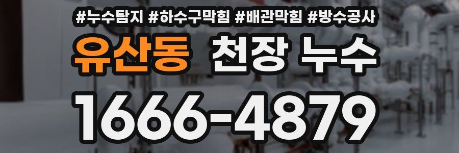 유산동 천장 누수