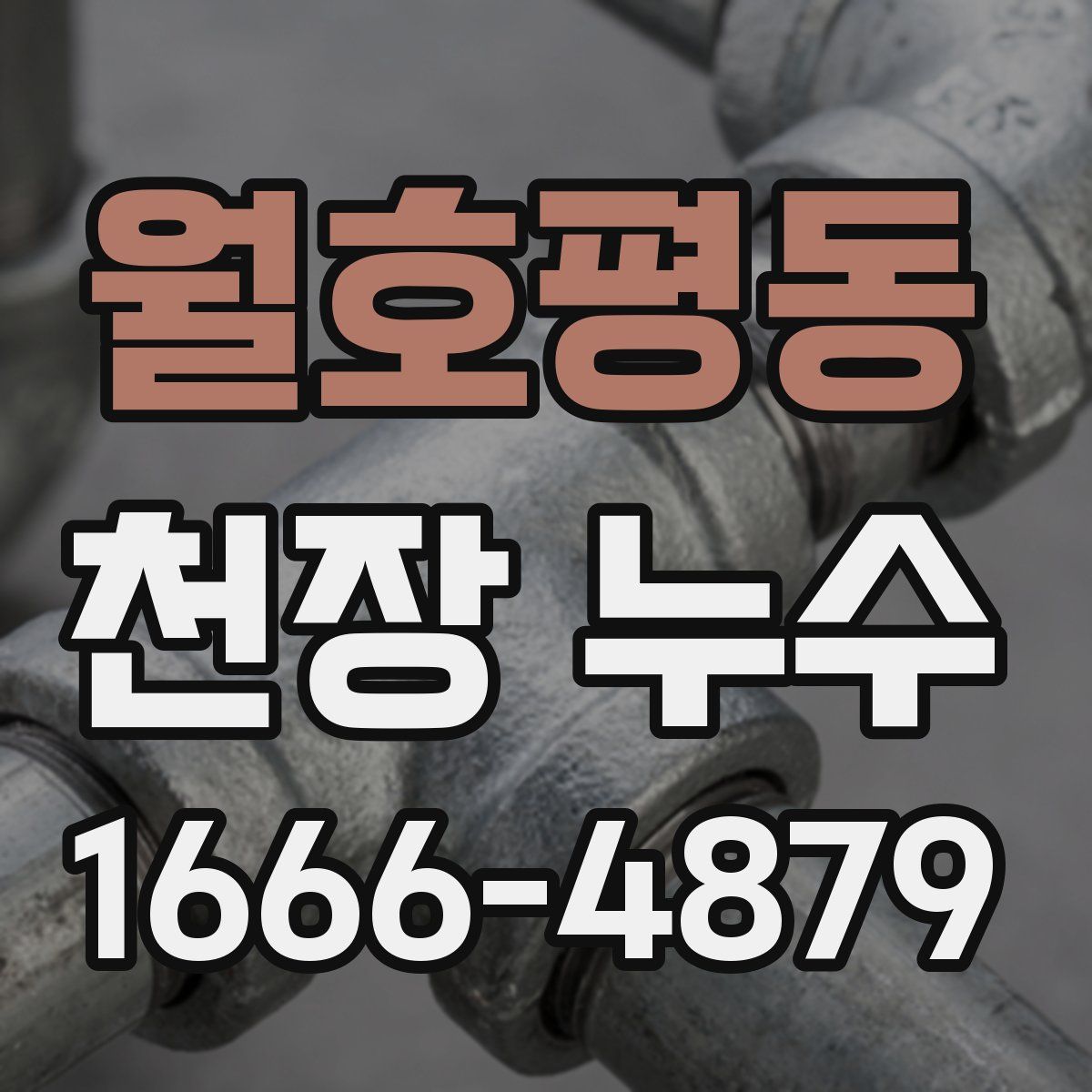 월호평동 천장 누수