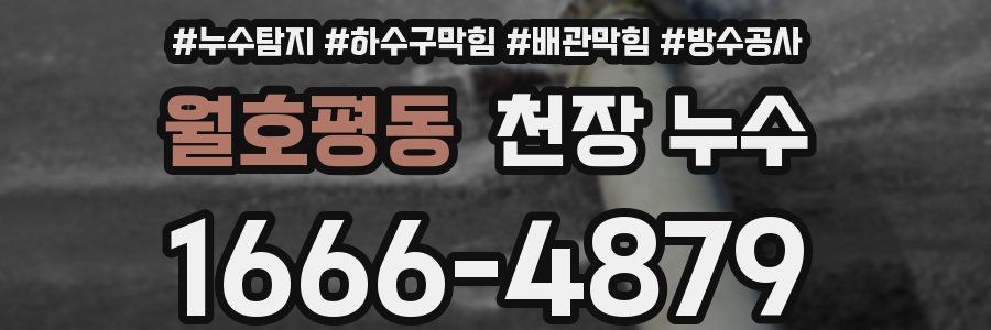 월호평동 천장 누수