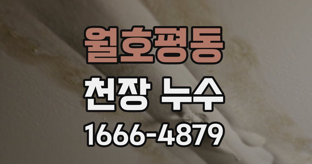 월호평동 천장 누수