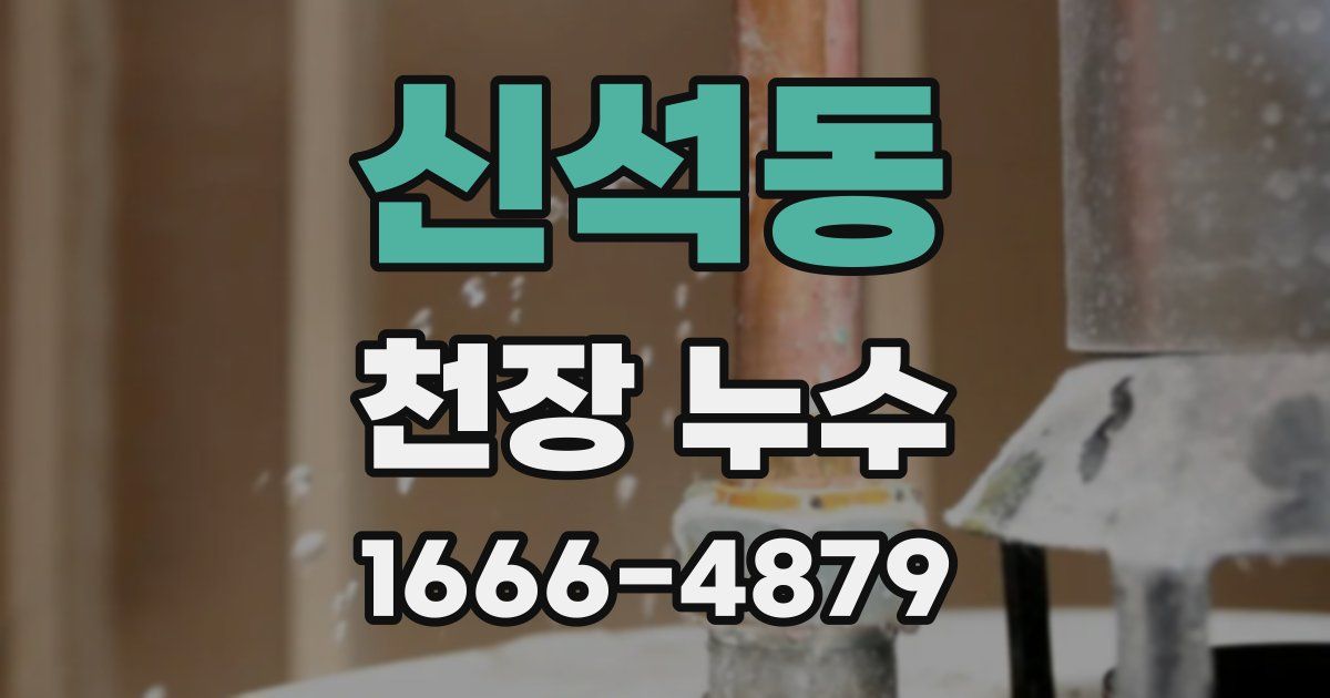 신석동 천장 누수