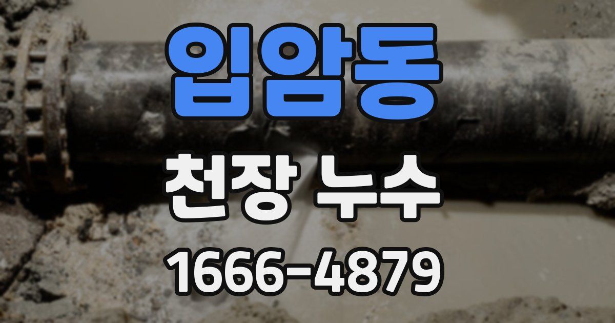 입암동 천장 누수