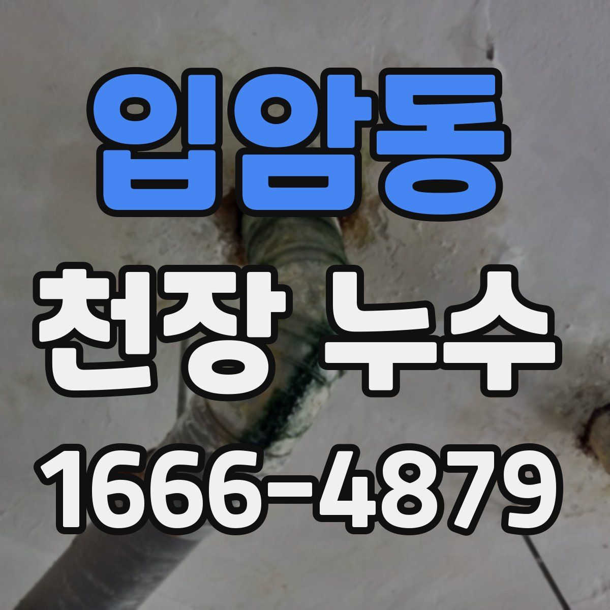 입암동 천장 누수