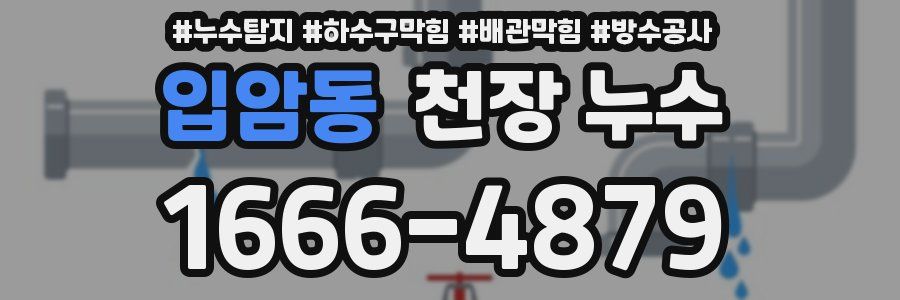 입암동 천장 누수