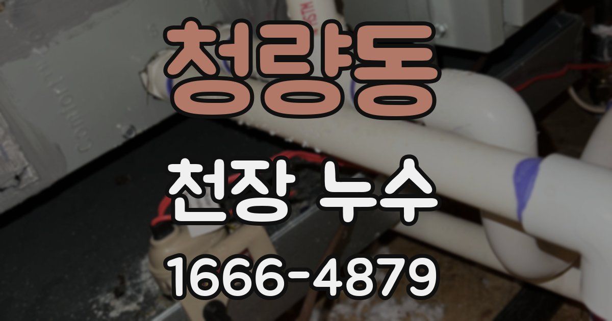 청량동 천장 누수