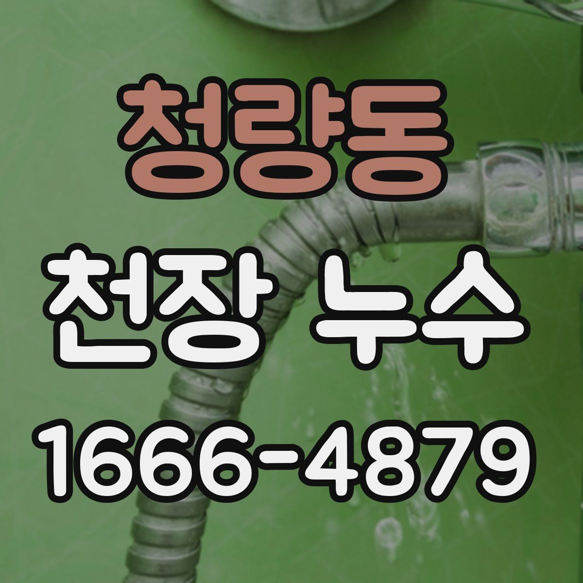 청량동 천장 누수