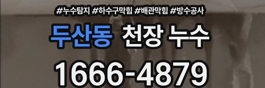 두산동 천장 누수