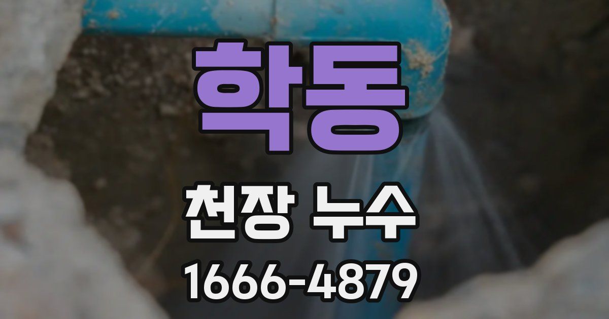 학동 천장 누수