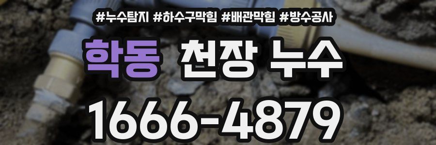 학동 천장 누수