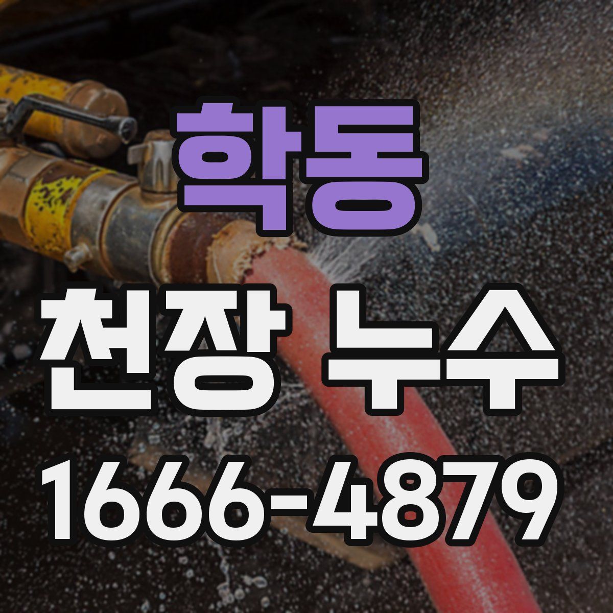 학동 천장 누수